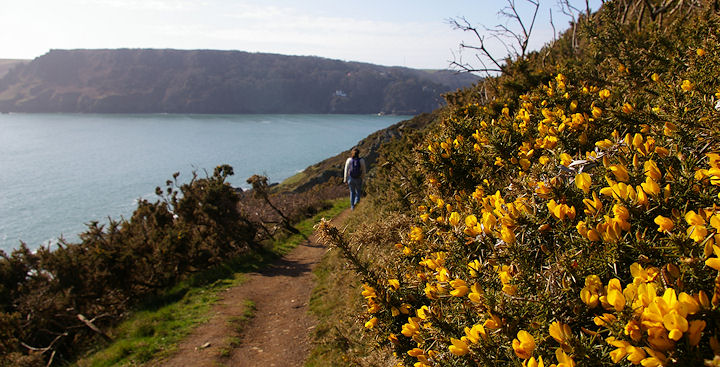 A warm and sunny late March day along the coast path with views towards Salcombe mouth in south Devon.