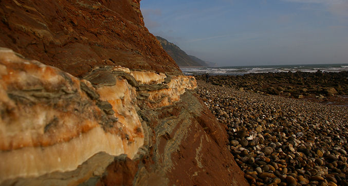 Gypsum crystal veins in the cliffs along the beach near Weston.